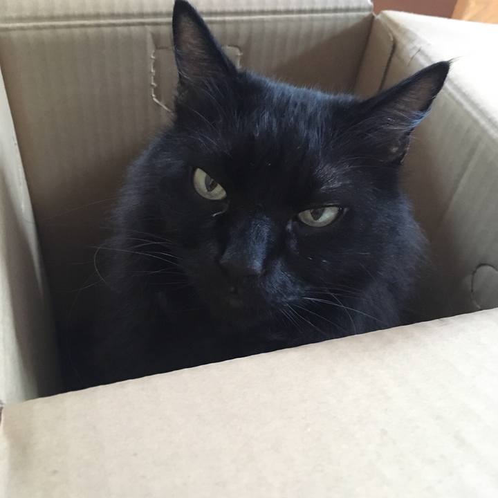 8fa77a2c eab4 4d72 b240 5a48637fadea 1562294704664