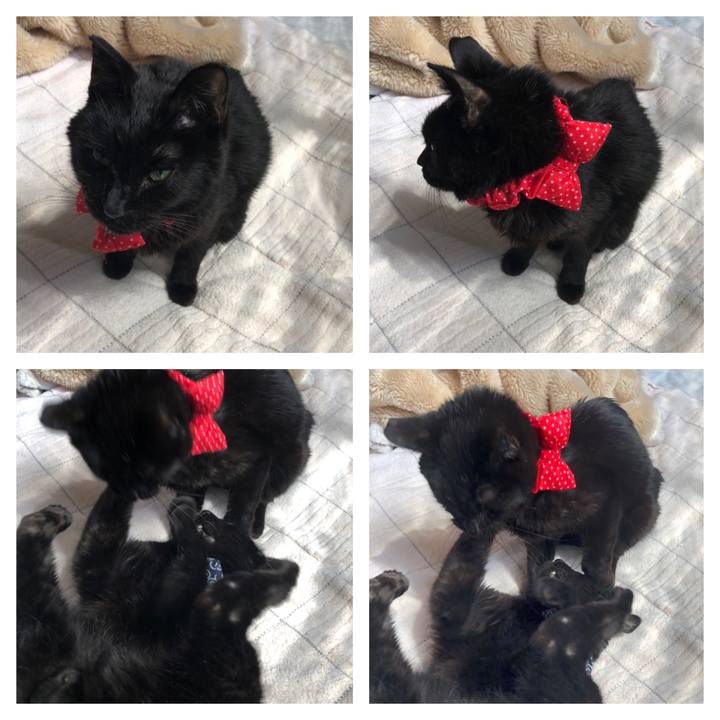 8fa790c7 19f6 485b 8879 e9953ea10bb3 1557005718945