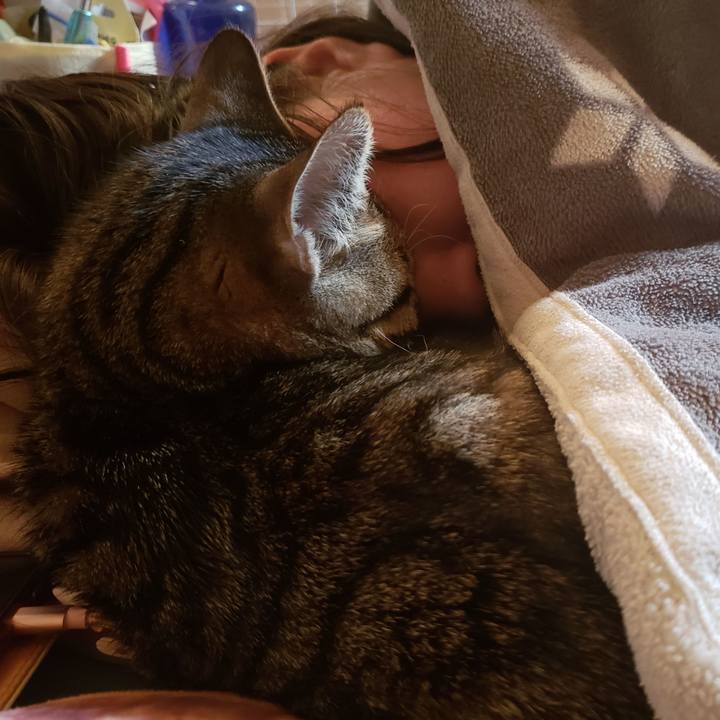 8fa7c9ed 3bc9 42c9 936a 88a82742cc75 1542664594755