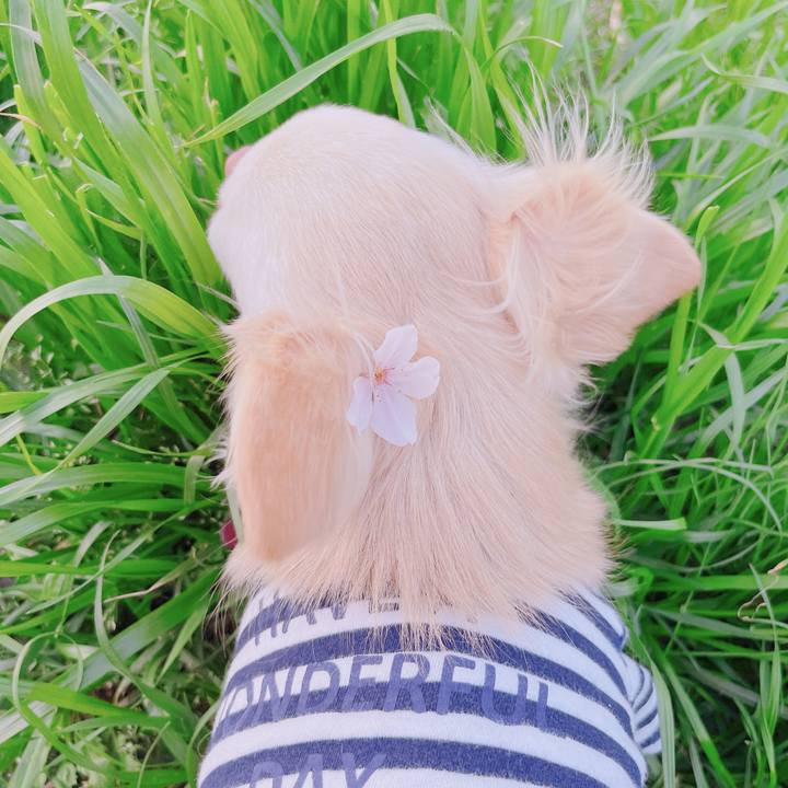 8fa7fe69 29ec 4c14 88e5 9c5f6cf837c4 1680165759290