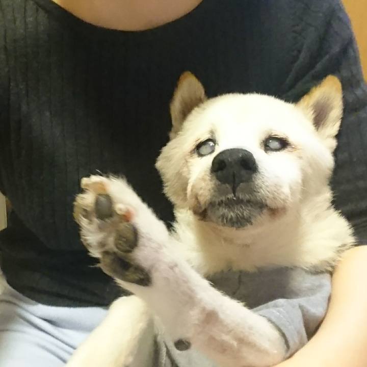 8fa81798 a742 4eb3 a378 282702e27f2e 1538661273446