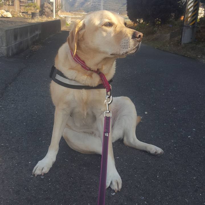 8fa82b96 d351 4700 916d 42e5a3fe0714 1551412132120