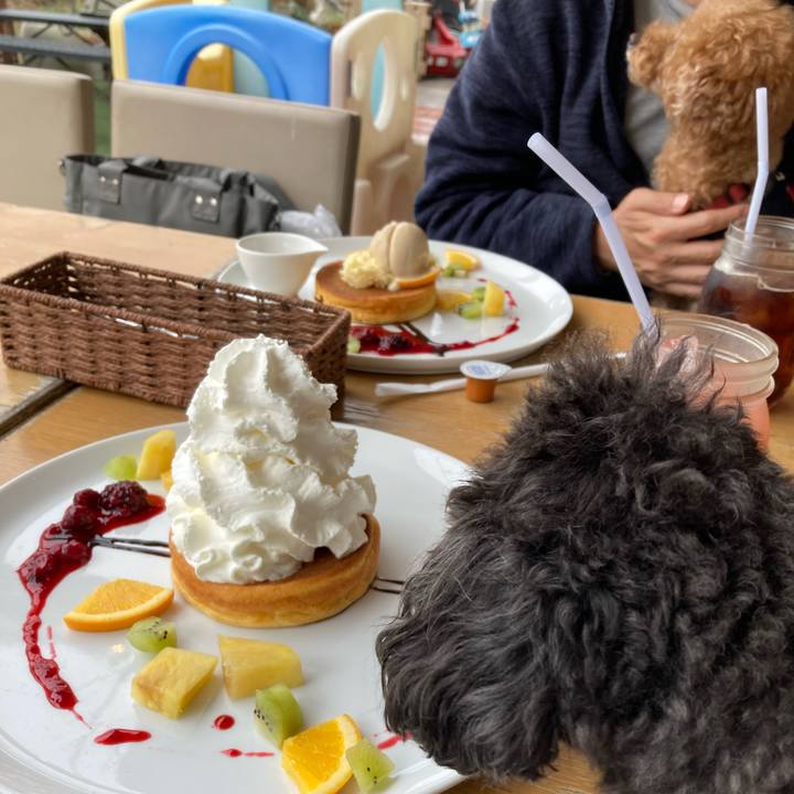 8fa85efd e9f6 47a8 b10e ebc25cf77da8 1679731549585