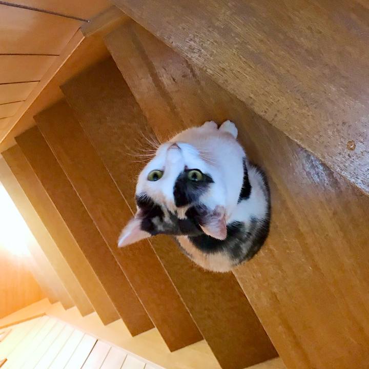 8fa88a58 18b2 43e7 98bb cfda202d962a 1535111990723