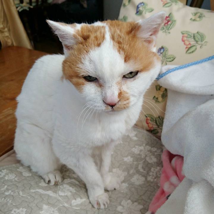 8fa8deb5 7eef 4b82 80a7 b01840f98451 1556505485803