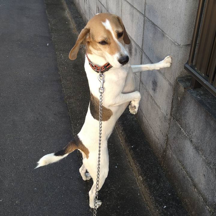 8fa8f36a f8ab 4e61 a171 04771804c072 1649247819778