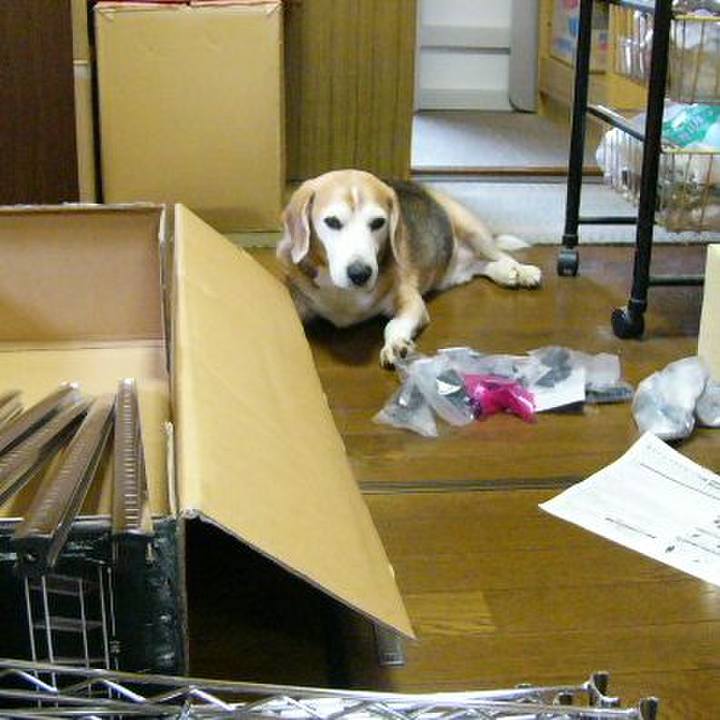 8fa8f71d 2214 47ab 8b16 6c6ee7b8df31 1651882360162