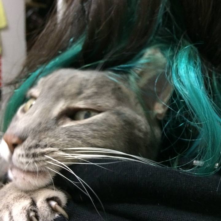 8fa8f9ef 818f 454d 88a9 996f1fa591d6 1542855174581