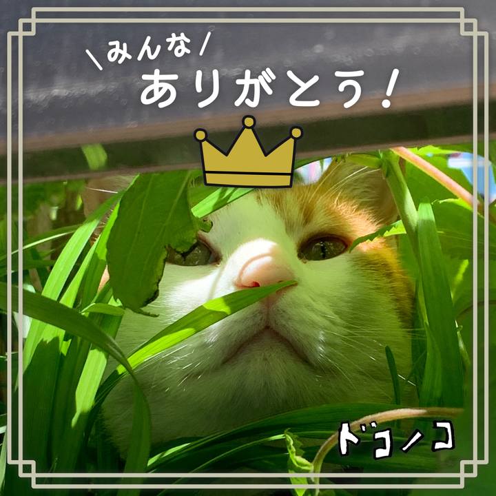 8fa8fd00 8f70 4b21 b582 b23f91e9a662 1622862781702