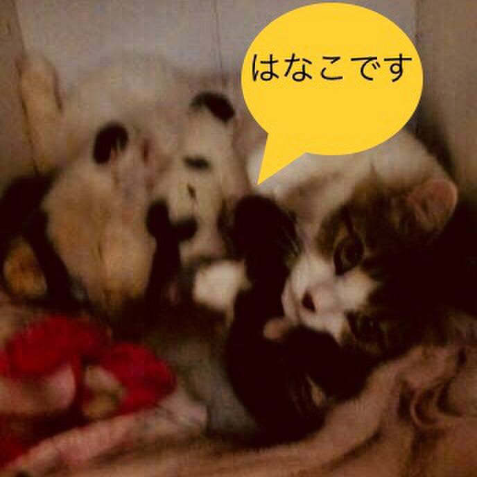 8fa8fe91 d599 4009 aa6e 2c8159e7b3fb 1530054998428