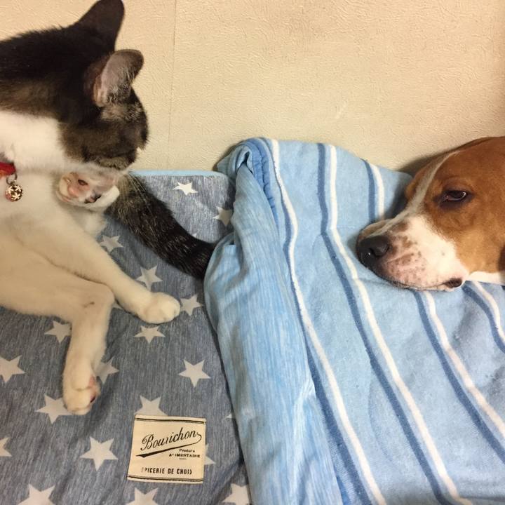 8fa94546 6736 469b ac1a 1b2ba67fc12a 1535783423294