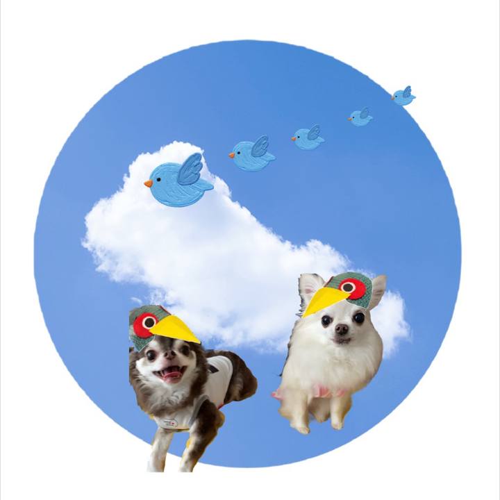 8fa964eb 003e 4b7a b284 59e8b7509778 1654958075045