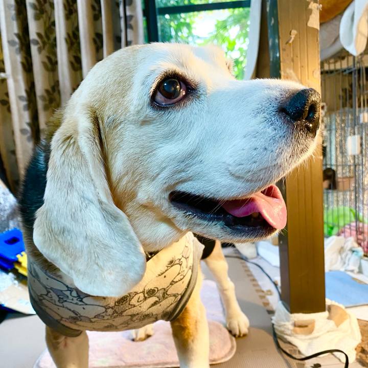 8fa96e50 8fd2 4aab 8761 efd93505fd5d 1665978713699