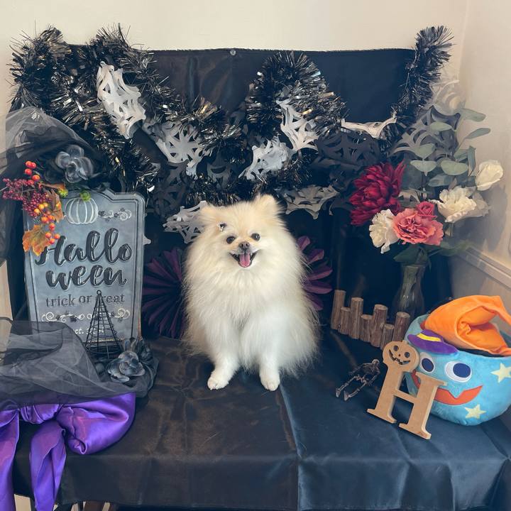 8fa98360 4204 4077 ace2 4457e8dc2ae6 1634968378327