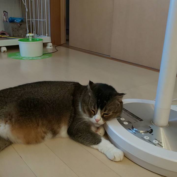 8fa989c2 5e8d 4df2 8649 f0948913d192 1565482930075