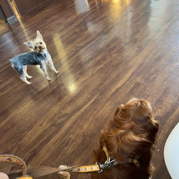 8fa99d50 66b8 4393 a246 bb8e1dafd15d 1775090391665