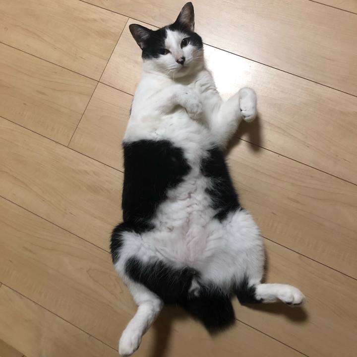 8fa9b4e0 f3cc 4403 9ee4 e38bb7dec32b 1597149392763