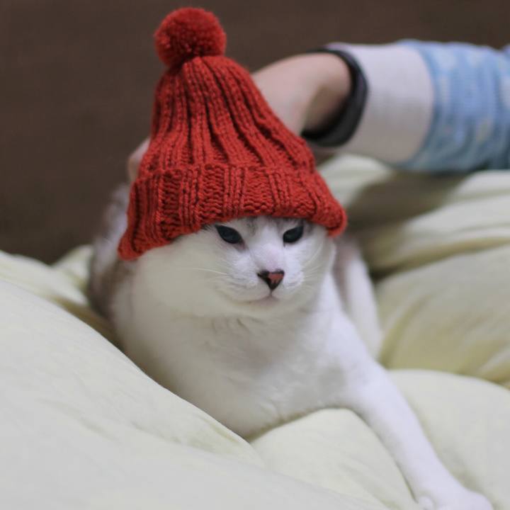 8faa1b09 d030 49ea bf98 36d066a5ceb3 1669610909466