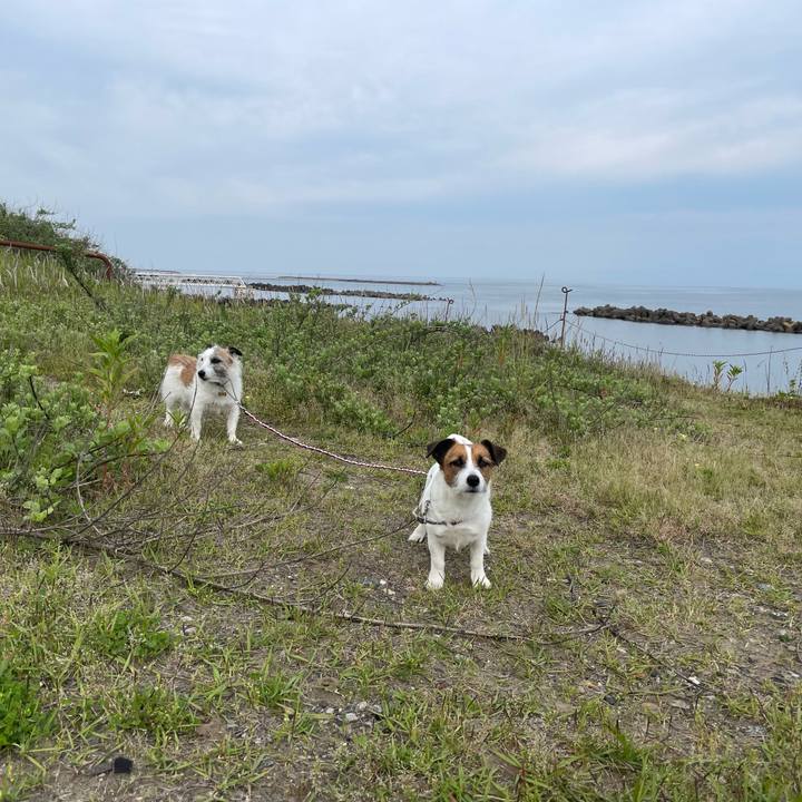 8faa2cea d9af 4597 95c2 d1705e548709 1717715508136