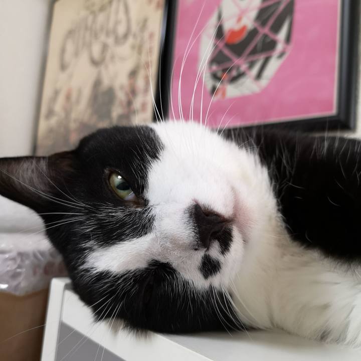 8faa360c 842a 41a5 accd cb1e0e0076e0 1569735825615