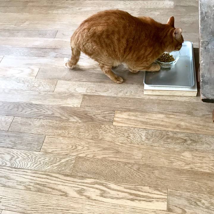 8faa3969 6e0d 4b42 8674 dd13007bb549 1510455419073