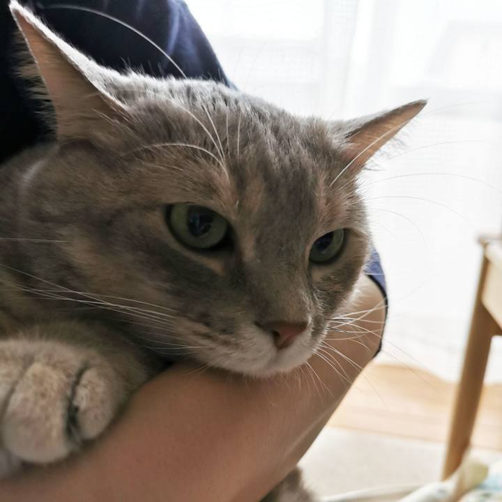 8faa4474 7b66 45dc ba69 c533e5b39ea5 1659849009343