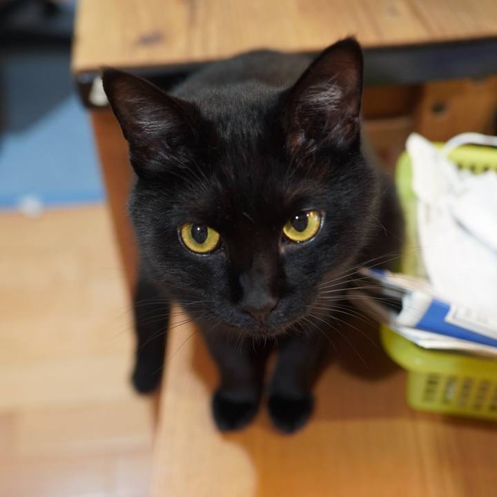 8faa453b 2862 4b81 8a59 850763ad9e6f 1594219414639