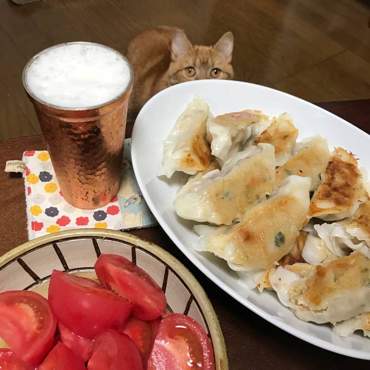 8faa8020 40f1 4584 b0ac f22e2b737906 1524228536648