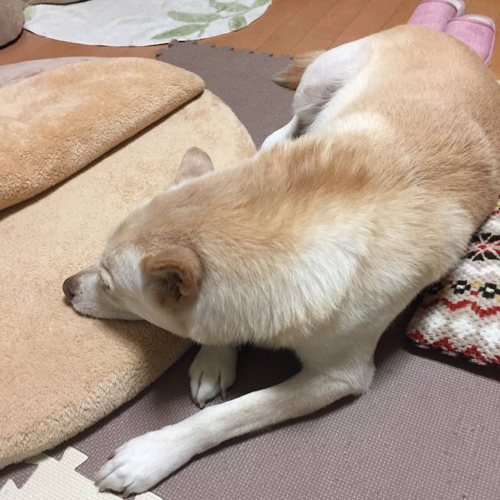 8faa8868 811e 499c 92bc 9e4d530fd1ef 1516624823158