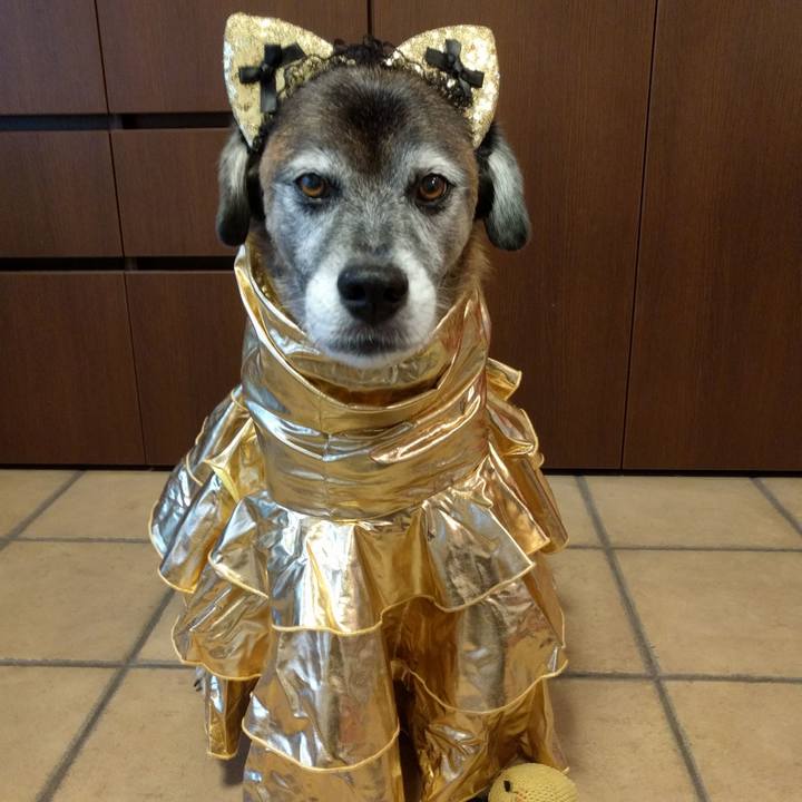 8faad351 e24a 407e a7f1 d48ebce69911 1539328194028