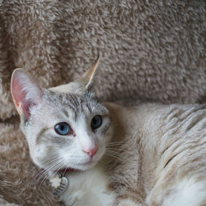 8faaecd2 883c 4305 a012 3b9accfedeb0 1521622405764