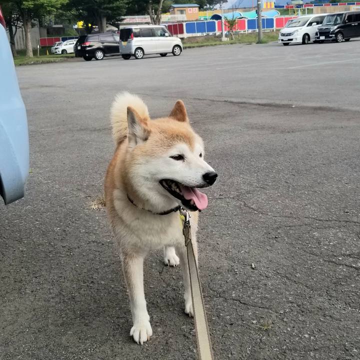 8fab1762 09b2 427c 9653 3dca27539f65 1658999170654