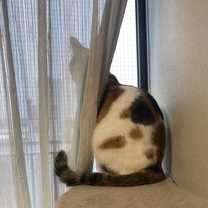 8fab28f9 21bc 445d a2fc 781a3229e18e 1590483894167