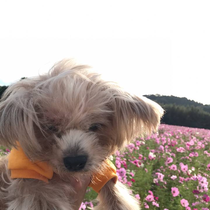 8fab3a4d 77d5 4bd6 906a 5c58c6d3eae1 1541108787348