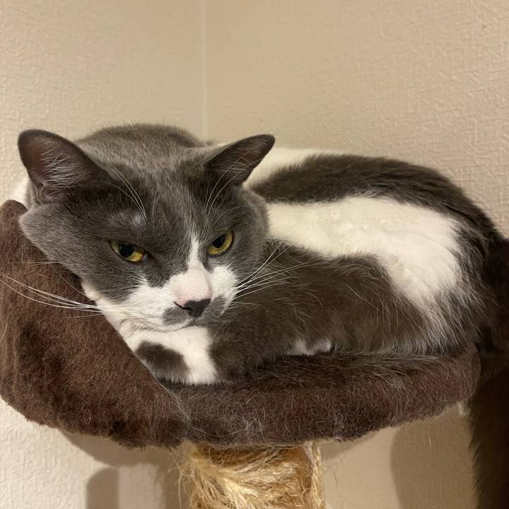 8fab5520 0815 4f47 af1f a8eac2c87b9c 1756119766354