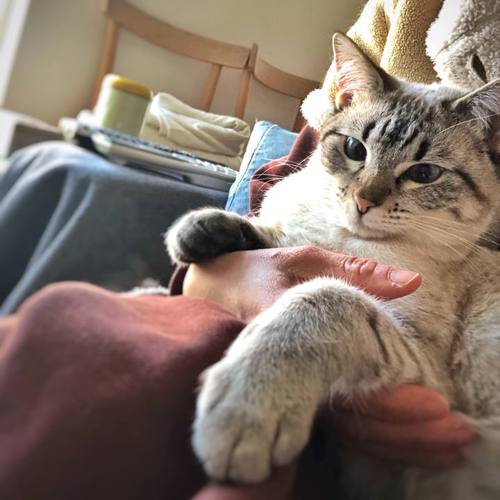 8fab77eb 76a5 4d9b a617 e97e320c4473 1742729975273