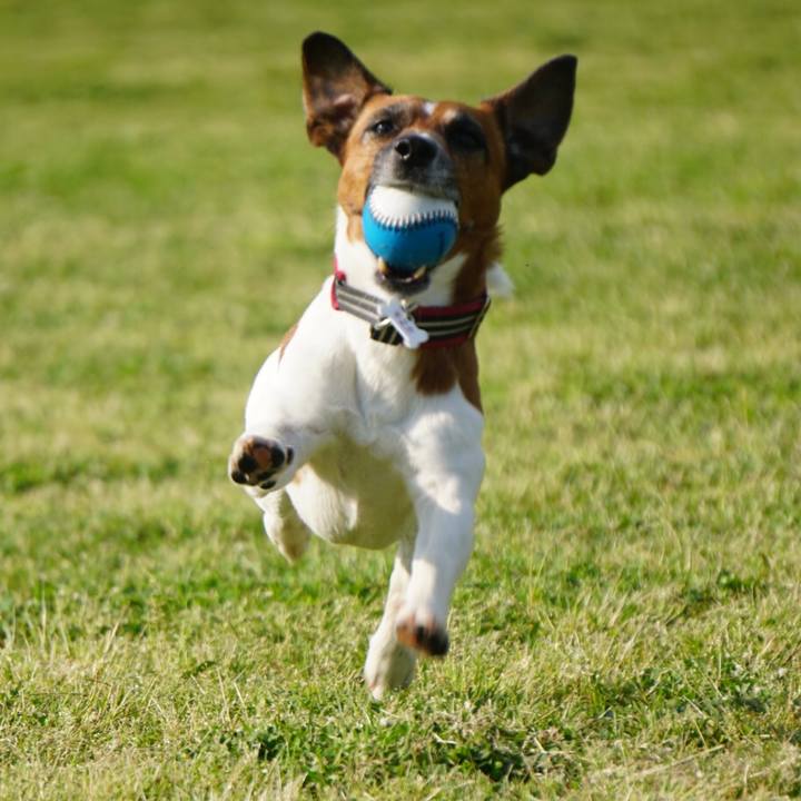 8fab7bb7 2b33 49d8 9e2a 868eb14fcf1c 1557960668270