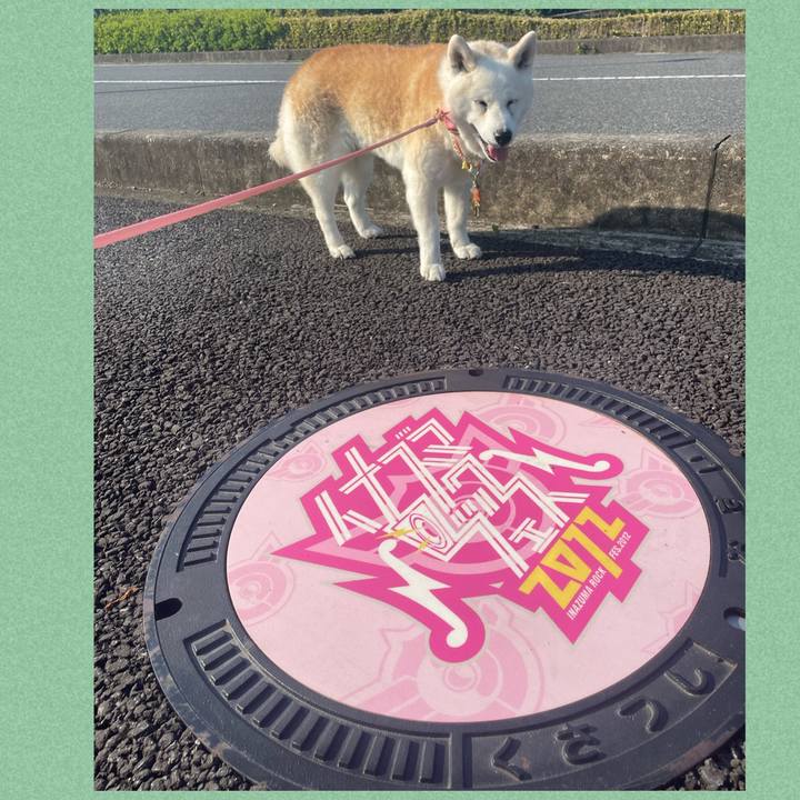 8fabd4b6 652e 4f8d b786 ae7443a96470 1717849710198