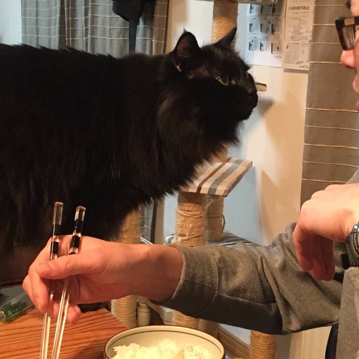 8fac1eab 6474 43c8 83d0 e74568d3624f 1548161070381