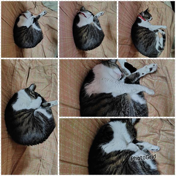 8fac2912 21b4 4d99 9faa 8cc98ff12901 1773151919332