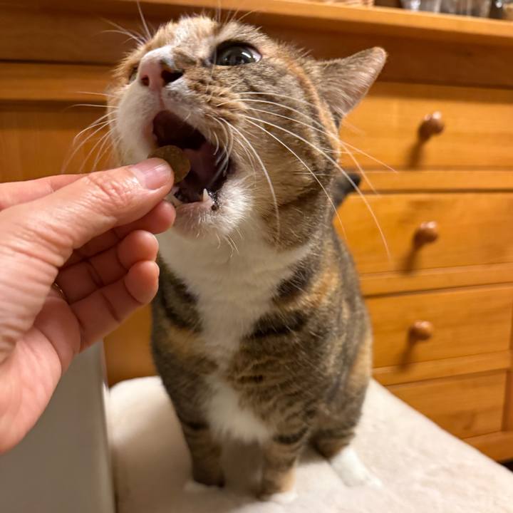 8fac5977 fc9c 4b75 a31f 20abac64b9f5 1764064706833