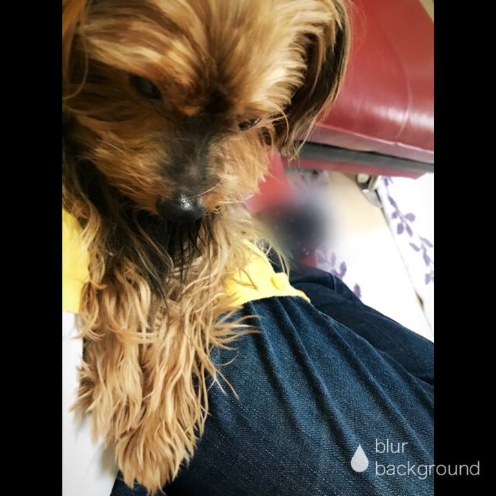 8fac7866 f233 404f bb5a 145c062d7df9 1525593134057