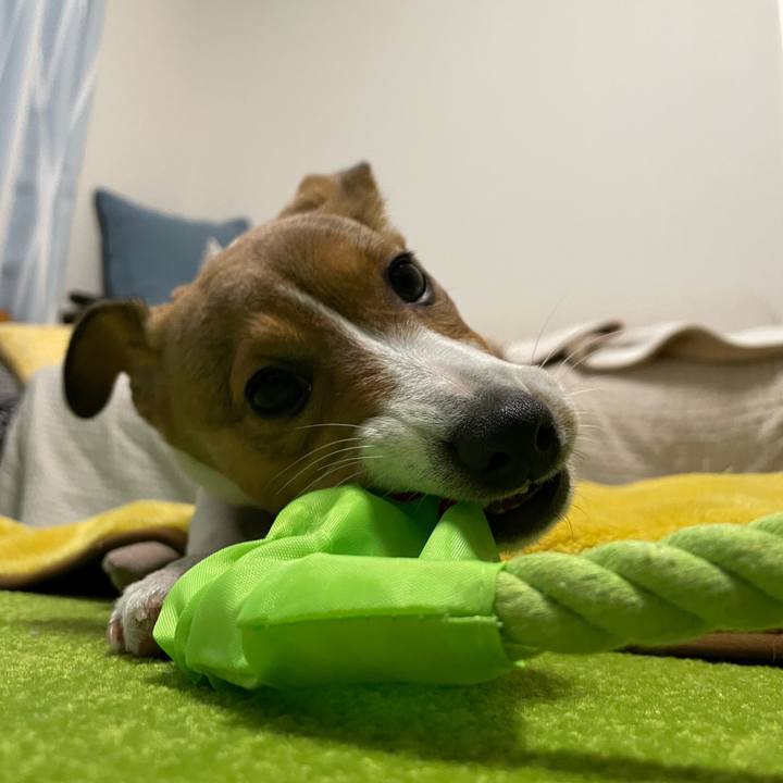 8fac836c 9ca6 4982 ad59 5cdb46946702 1671452485251