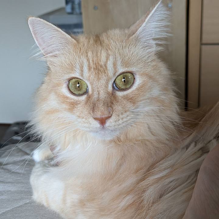 8fac8fa9 67b9 429e 9dad a60d98d4440c 1727499485491