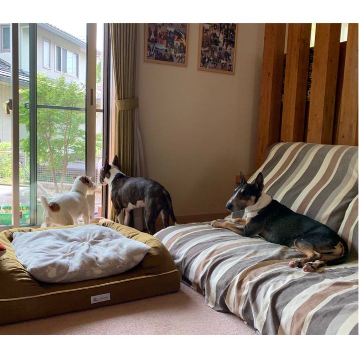 8fac9598 b800 4505 9099 c0b27d641201 1588654082879