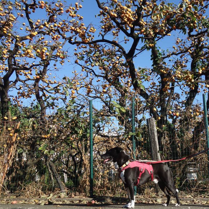 8facb819 edf7 4c23 813b 8dd799666a5f 1696553454460