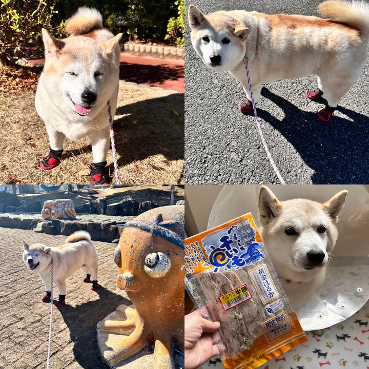 8facc3d6 5f59 4a1a 97ae 6bcdefefe5c5 1738655795242