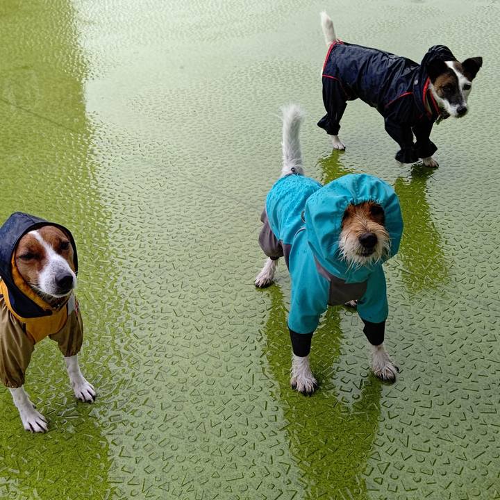 8facd444 6cde 4c79 96a7 cdb2c990e8b2 1638950160462