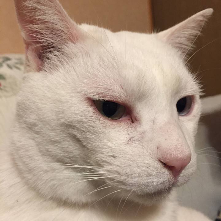 8face150 b927 46de 94a0 6b5e6915b43e 1514989577113