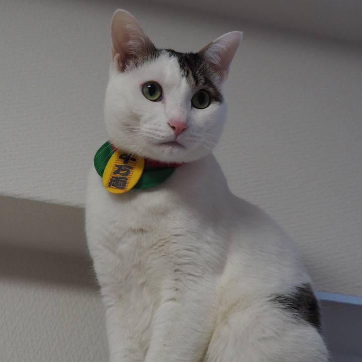 8facee3d 884a 443e 80d8 07d209234d03 1548383570278